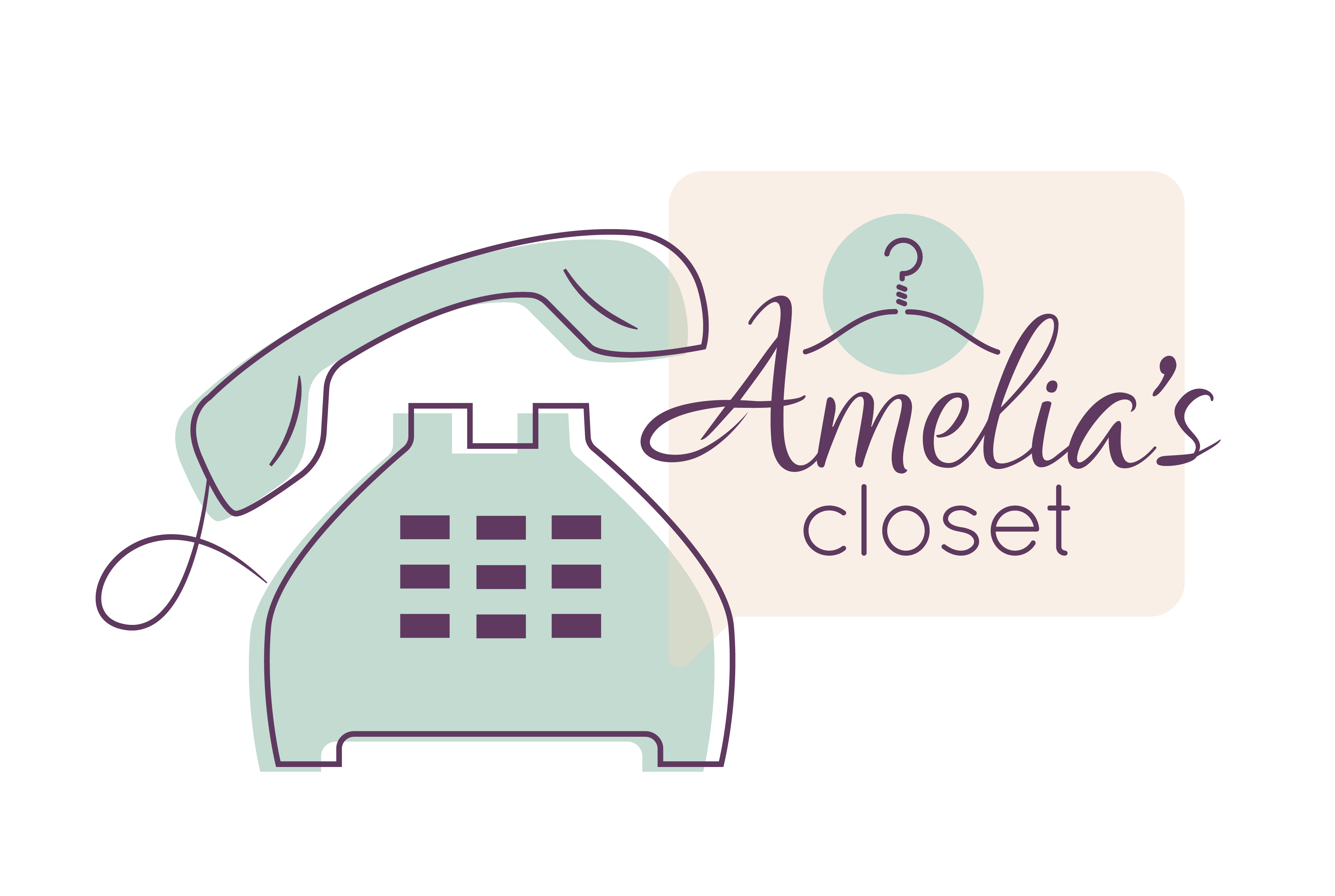 Amelias Closet Email connection box image